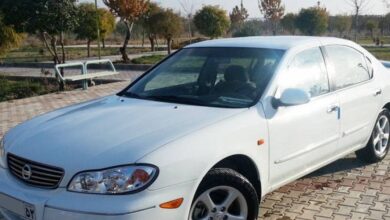 آشنایی با مشخصات ماکسیما