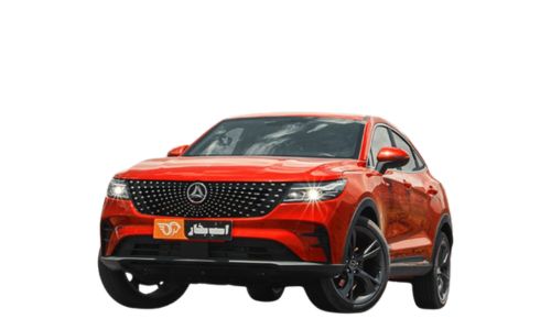 مشخصات دیگنیتی پرستیژ