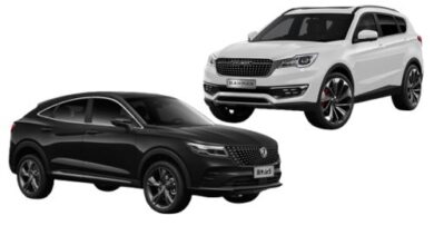 فیدلیتی یا دیگنیتی کدام بهتر است؟